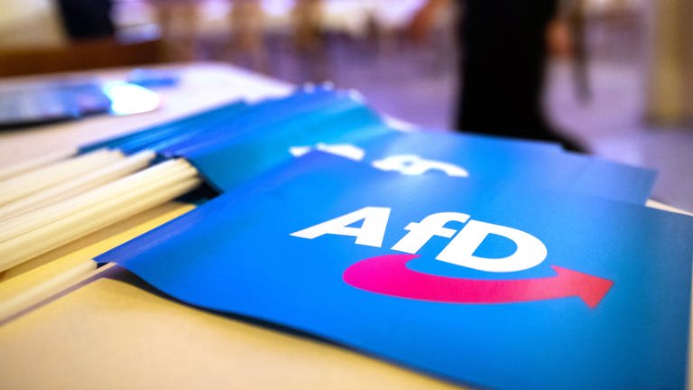 Fähnchen mit dem Logo der AfD  (Foto: dpa Bildfunk, picture alliance/dpa | Daniel Karmann)
