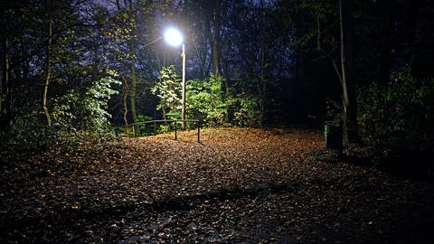Eine einzelne Laterne beleuchtet einen dunklen Waldweg.  (Foto: IMAGO, IMAGO / Gottfried Czepluch)