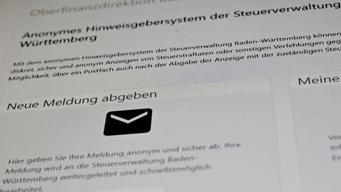 Ein Ausschnitt einer Internetseite einer Meldeplattform für Steuerbetrug von der Oberfinanzdirektion Karlsruhe wird auf einem Computerbildschirm angezeigt. (Foto: dpa Bildfunk, picture alliance/dpa | Bernd Weißbrod)