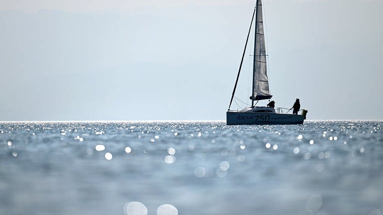 Ein Boot segelt vor Langenargen auf dem Bodensee, während im Vordergrund die Sonne im Wasser glitzert.