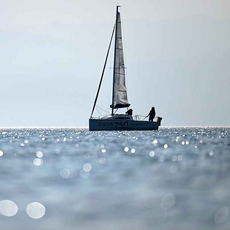 Ein Boot segelt vor Langenargen auf dem Bodensee, während im Vordergrund die Sonne im Wasser glitzert.