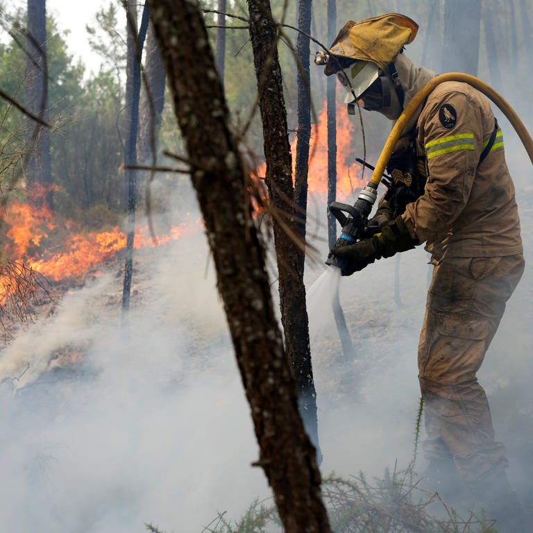 Ein Feuerwehrmann löscht in einem Wald einen großflächigen Brand. (Foto: dpa Bildfunk, picture alliance/dpa/AP | Armando Franca)