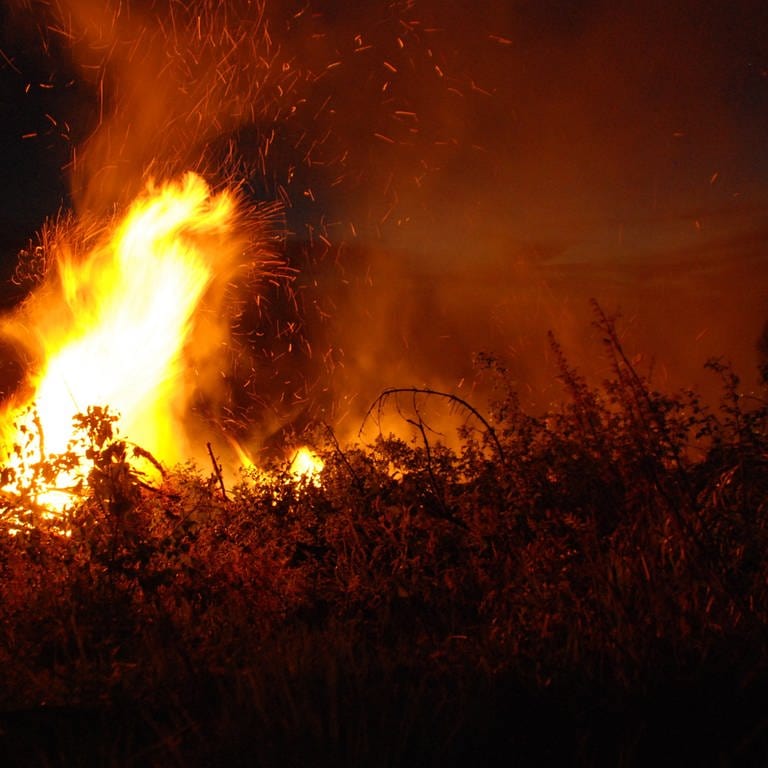Flammen lodern bei einem Waldbrand in Nordrhein-Westfalen (Foto: dpa Bildfunk, picture alliance/ dpa, Jörg Taron)