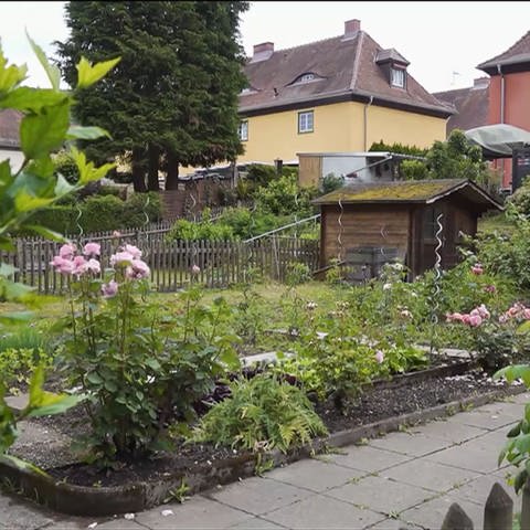 Blick auf Gärten in Baden-Baden Ooswinkel (Foto: SWR)