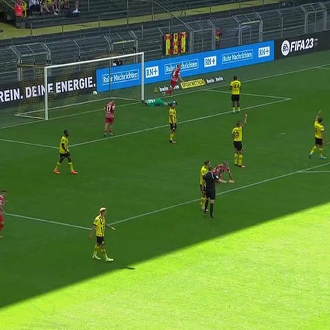 Fußballspiel 3. Liga: Dortmund vs. Freiburg (Foto: SWR)