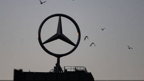 Vögel fliegen um einen Mercedes-Stern, der auf einem Gebäude im Werk Untertürkheim des Autobauers Mercedes-Benz angebracht ist. (Foto: dpa Bildfunk, picture alliance/dpa | Marijan Murat)