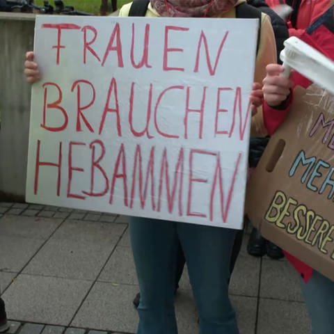 Demonstranten mit Plakaten (Foto: SWR)