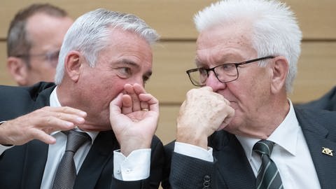 Strobl und Kretschmann im BW-Landtag (Foto: dpa Bildfunk, Picture Alliance)