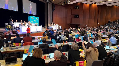 Die FDP stimmt bei ihrem Parteitag in Fellbach über einen Antrag ab. (Foto: SWR, Henning Otte)