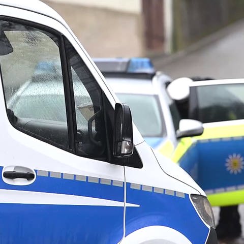 Polizeiwagen (Foto: SWR)
