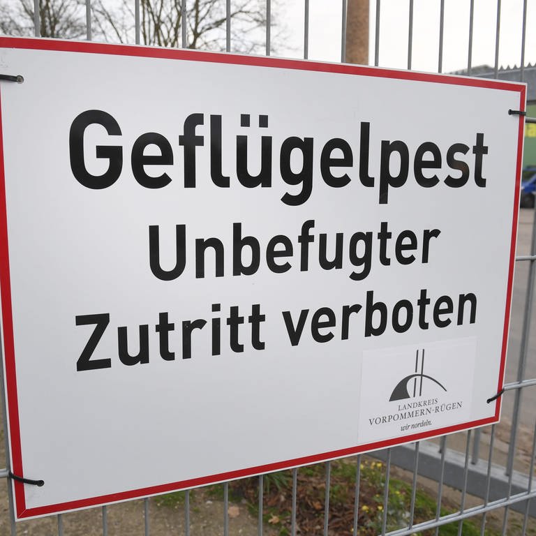 Schild mit Hinweis auf Geflügelpest (Foto: dpa Bildfunk, picture alliance/dpa/dpa-Zentralbild | Stefan Sauer)