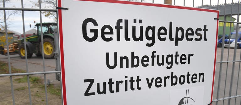 Schild mit Hinweis auf Geflügelpest (Foto: dpa Bildfunk, picture alliance/dpa/dpa-Zentralbild | Stefan Sauer)