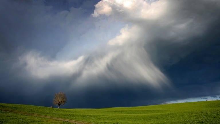 Aprilwetter: Zu sehen sind dunkle Wolken über einer Wiese mit einem einzelnen Baum (Foto: dpa Bildfunk, Picture Alliance)
