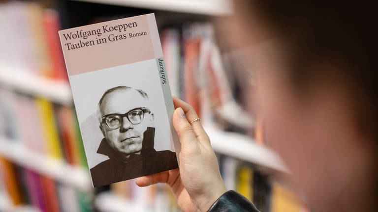 Das Buchcover von "Tauben im Gras" in einer Buchhandlung (Foto: dpa Bildfunk, picture alliance/dpa | Christoph Schmidt)