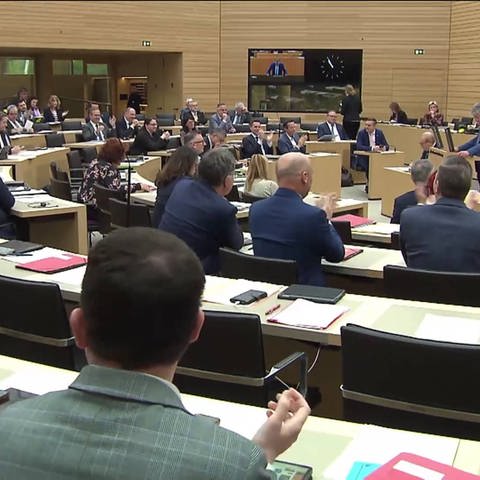Landtagsdebatte (Foto: SWR)