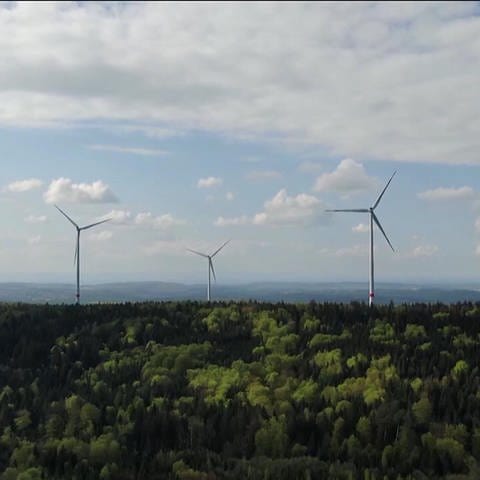 Windkraft im Aufwind (Foto: SWR)