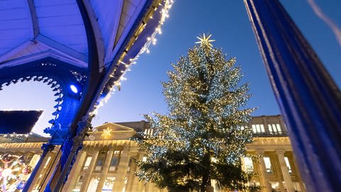 Im Abendlicht leuchtet der Weihnachtsbaum auf dem Stuttgarter Weihnachtsmarkt. (Foto: dpa Bildfunk, picture alliance/dpa | Bernd Weissbrod)