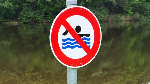 Ein Schild "Baden verboten" ist an einem See aufgestellt. (Foto: dpa Bildfunk, picture alliance / dpa | Daniel Maurer)