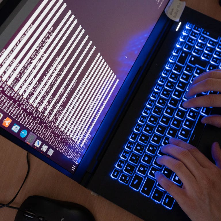 Eine Person tippt an einem Computer. (Foto: dpa Bildfunk, picture alliance/dpa | Julian Stratenschulte)