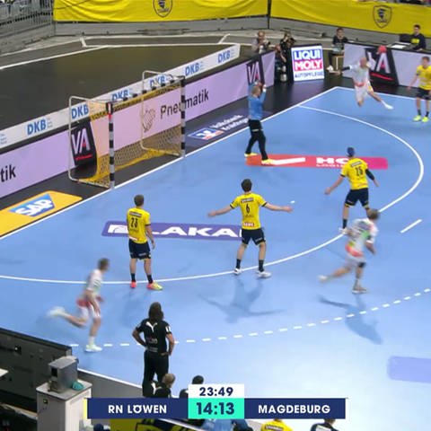 Handballspiel (Foto: SWR)