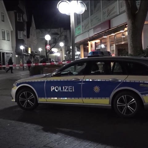 Polizeiwagen Nachts (Foto: SWR)