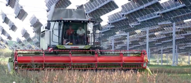 Solaranlagen in der Landwirtschaft (Foto: SWR, Schweizer Fernsehen)