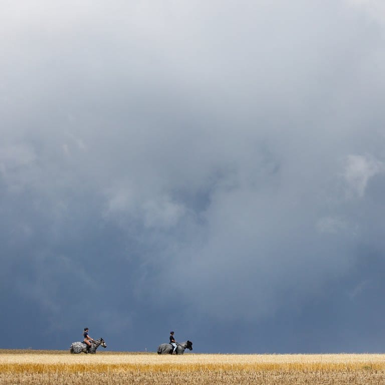 Reiterinnen sind mit ihren Pferden zwischen Getreidefeldern unterwegs, während im Hintergrund ein Gewitter aufzieht. (Foto: dpa Bildfunk, picture alliance/dpa | Thomas Warnack)