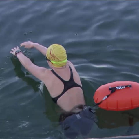 Patricia Springmann taucht ins Wasser des Bodensees ein (Foto: SWR)