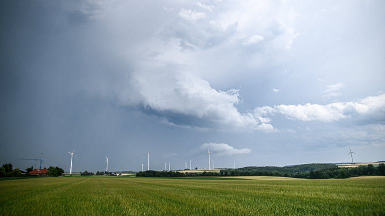 Eine Regenfront mit dunklen Wolken ist hinter einem Gerstenfeld bei Böhmenkirch zu sehen.  (Foto: dpa Bildfunk, picture alliance/dpa | Marius Bulling)