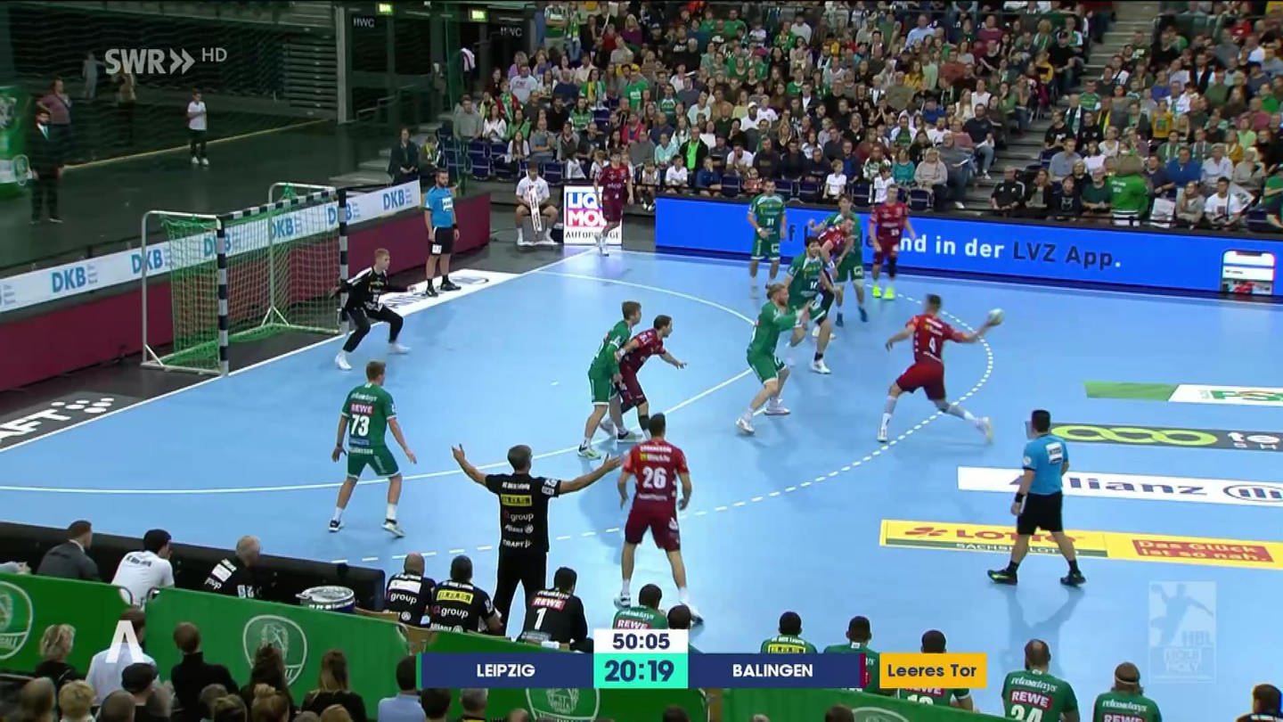 Handball (Foto: SWR)