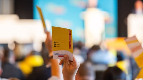Ein Delegierter hält beim Parteitag der FDP in Kehl einen Stimmzettel in die Höhe (Archivbild).  (Foto: dpa Bildfunk, picture alliance/dpa | Philipp von Ditfurth)