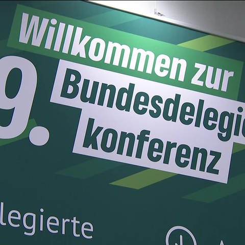Bundesparteitag Grüne (Foto: SWR)