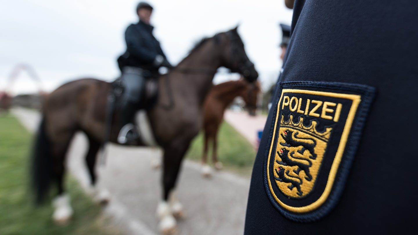 Polizeipfered (Symbolbild) (Foto: dpa Bildfunk, picture alliance / dpa | Patrick Seeger (Symbolbild))