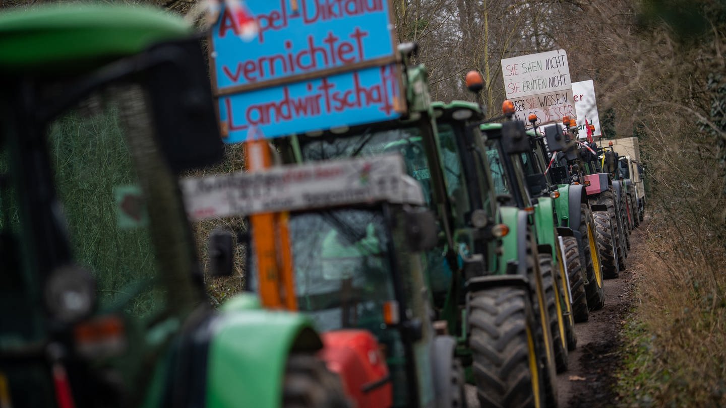 Bauernproteste in BW (Foto: dpa Bildfunk, picture alliance/dpa | Christoph Schmidt)