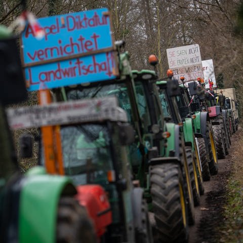 Bauernproteste in BW (Foto: dpa Bildfunk, picture alliance/dpa | Christoph Schmidt)