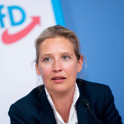 Alice Weidel, Fraktionsvorsitzende der AfD im Bundestag, auf einer Pressekonferenz (Foto: dpa Bildfunk, picture alliance/dpa | Kay Nietfeld)