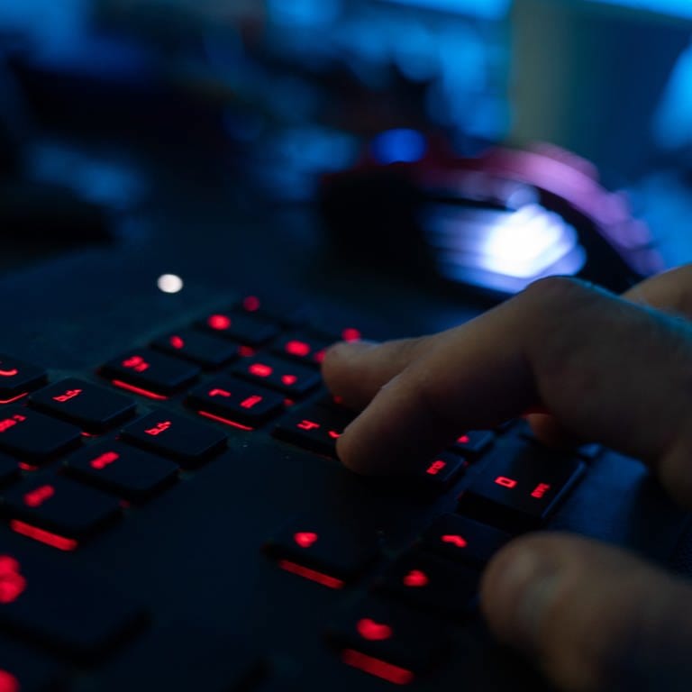 Ein Mann sitzt am Rechner und tippt auf einer Tastatur.  (Foto: dpa Bildfunk, picture alliance/dpa | Nicolas Armer)