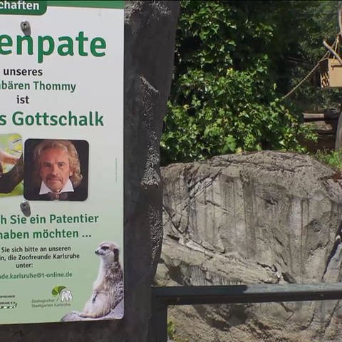 Gottschalk und Elstner im Zoo (Foto: SWR)