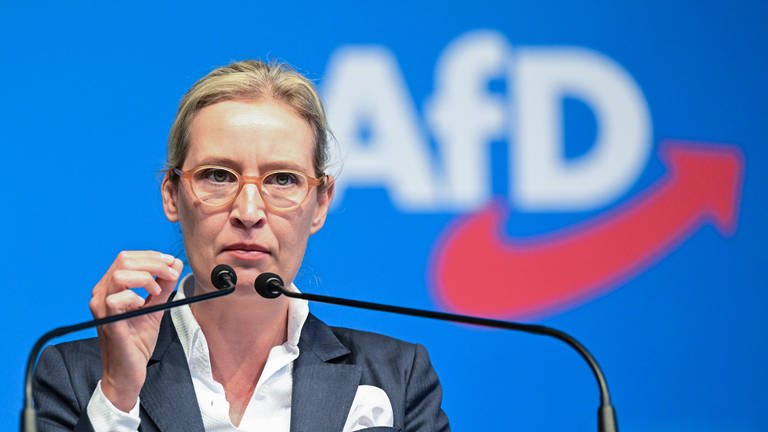 Alice Weidel steht vor einem Mikrofon auf dem AfD-Landesparteitag in Stuttgart. (Foto: dpa Bildfunk, picture alliance/dpa | Bernd Weißbrod)