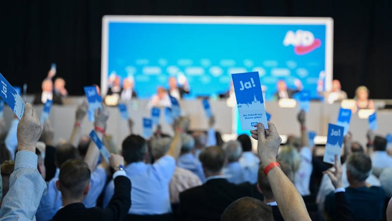 Mitglieder der Partei Alternative für Deutschland (AfD) stimmen in einer Messehalle mit Stimmkarten beim Landesparteitag der AfD Baden-Württemberg über einen Tagesordnungspunkt ab. (Foto: dpa Bildfunk, picture alliance/dpa | Bernd Weißbrod)