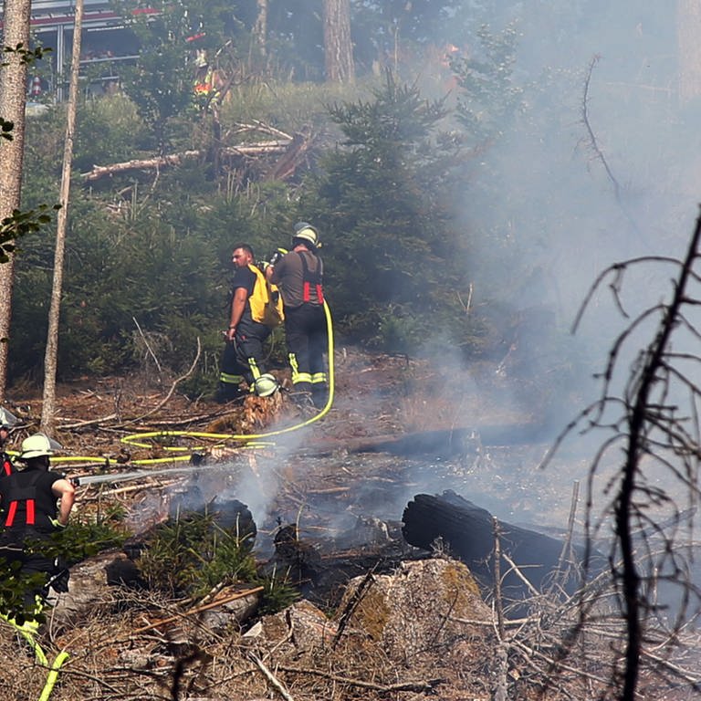 Einsatzkräfte der Feuerwehr löschen einen Waldbrand (Foto: dpa Bildfunk, picture alliance/dpa | Ralf Hettler)