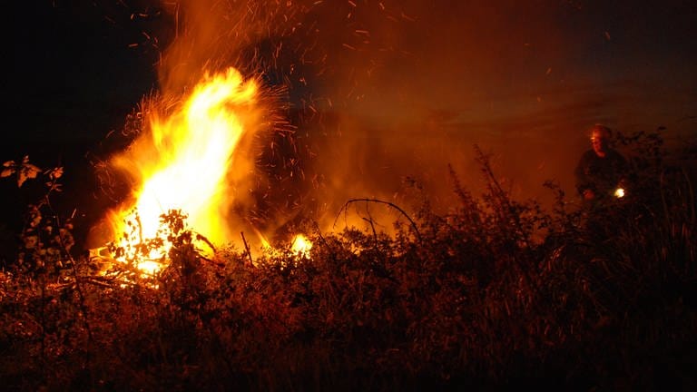 Flammen lodern bei einem Waldbrand in Nordrhein-Westfalen