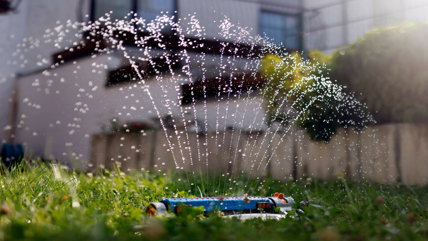 Ein Rasensprenger wässert bei heißem Wetter den Rasen in einem Vorgarten (Foto: IMAGO, IMAGO / Panama Pictures)