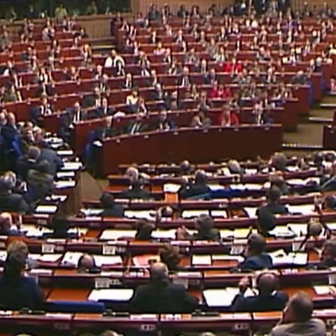 EU-Parlament vergangener Zeit (Foto: SWR)