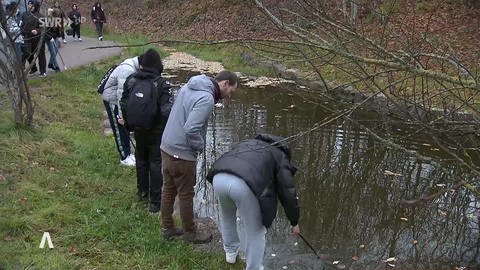 Mehrere junge Leute fischen Gegenstände aus dem Wasser (Foto: SWR)
