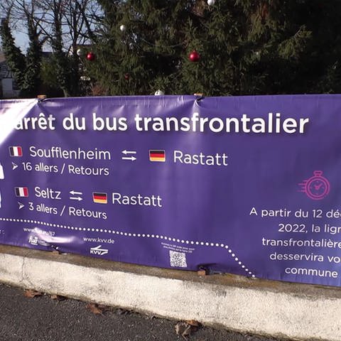 Buslinie ins Elsass (Foto: SWR)