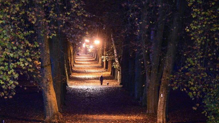 Eine Allee auf der Tübinger Neckarinsel wird in den Abendstunden von Straßenlaternen beleuchtet. (Foto: dpa Bildfunk, picture alliance/dpa, Bernd Weißbrod)