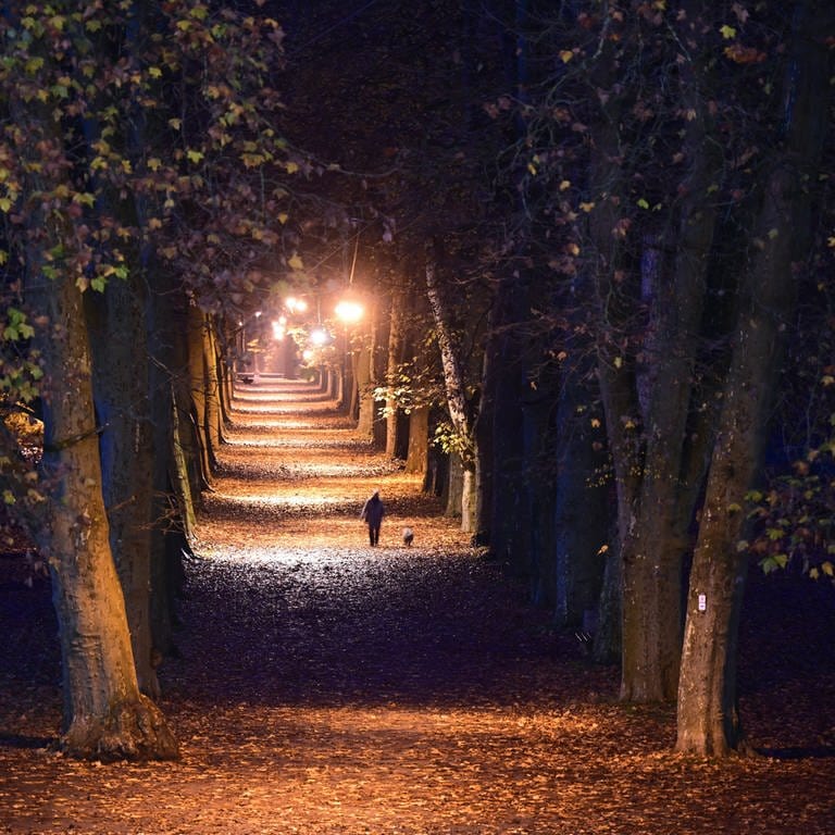 Eine Allee auf der Tübinger Neckarinsel wird in den Abendstunden von Straßenlaternen beleuchtet. (Foto: dpa Bildfunk, picture alliance/dpa, Bernd Weißbrod)