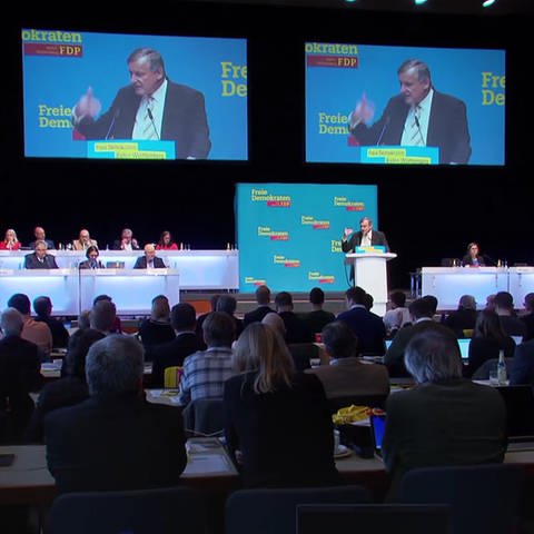 Landesparteitag der Baden-Württembergischen FDP (Foto: SWR)