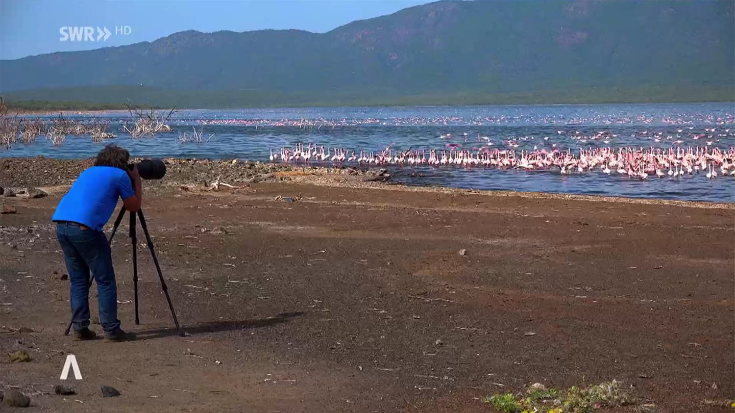 Geograph Michael Martin fotografiert Flamingos (Foto: SWR)